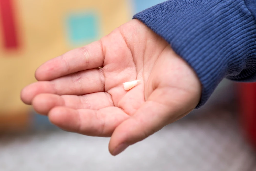 Child holding a fallen tooth